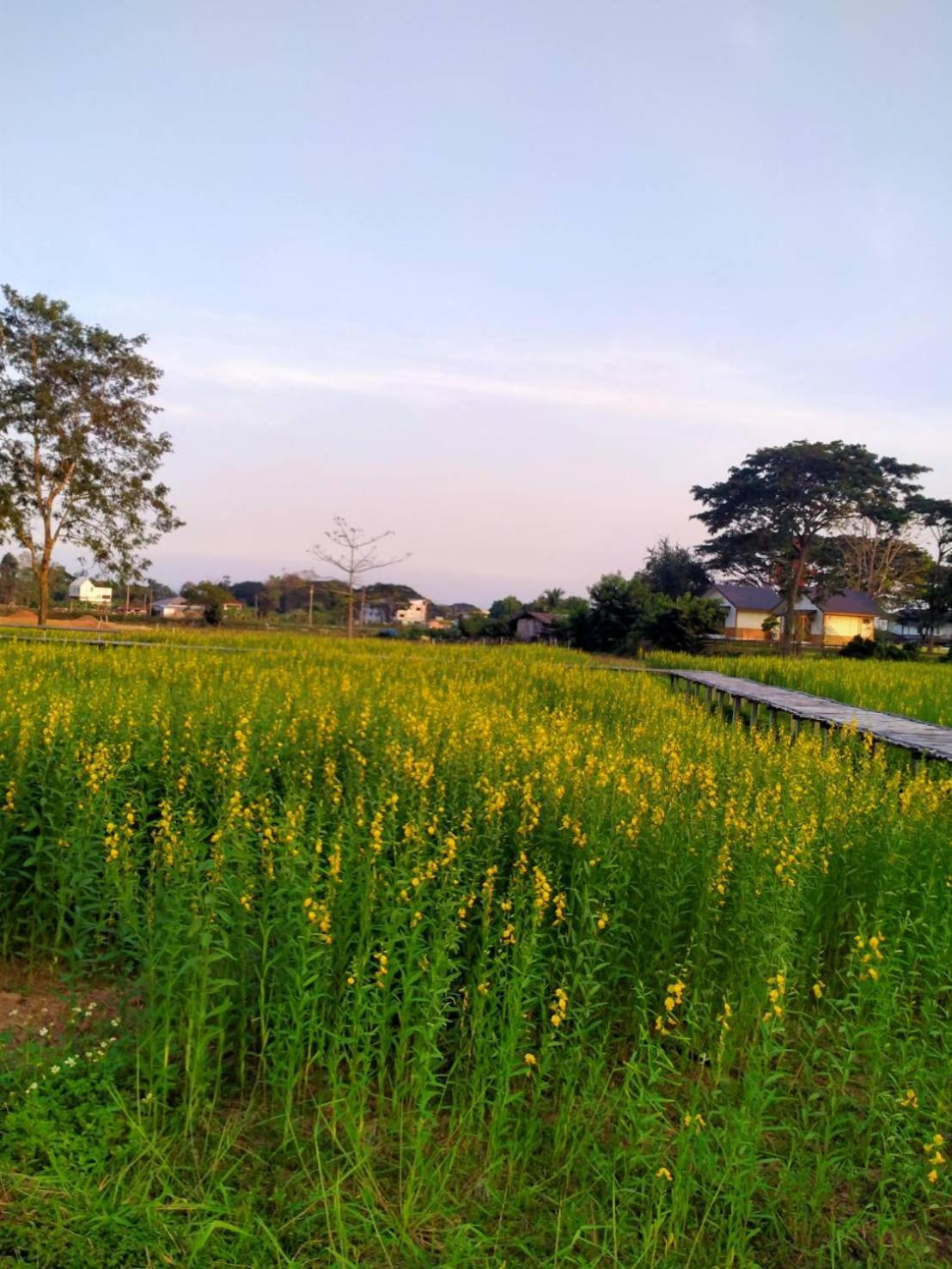 萨斯哒瑞度假酒店 南府 外观 照片